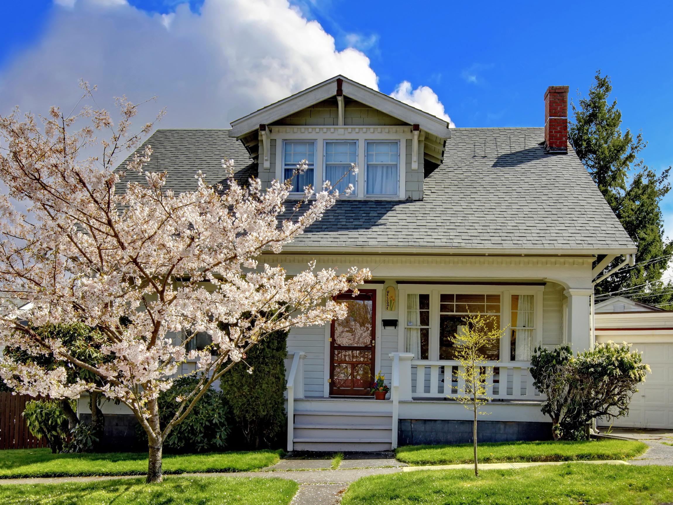 Nusha Mathieson - Home